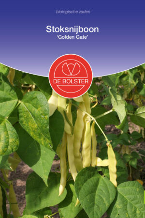 Stoksnijboon 'Golden Gate' - Afbeelding 1