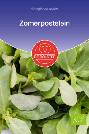 Zomerpostelein - Afbeelding 1