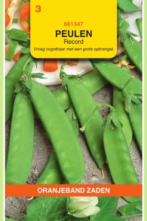 OBZ Peulen Record, 25g - Afbeelding 1